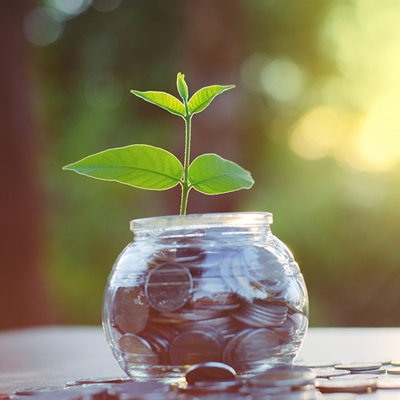 a jar of coins with a small plant spouting out of the coins